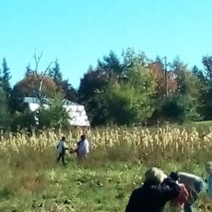 Meet your Posher, Doreen